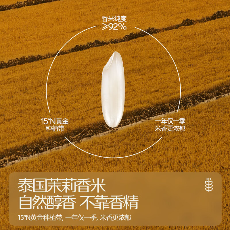 英氏(Engnice)【米饼专区】英氏宝宝零食婴幼儿米饼磨牙饼干辅食外出零食 1阶泰国茉莉香米米饼(原味)32g