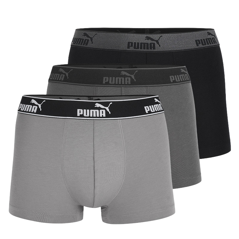 ���ڲ�����PUMA���� ��ʿ�ڿ��л�����95%��͸���˶�ƽ���ڿ�3�� 