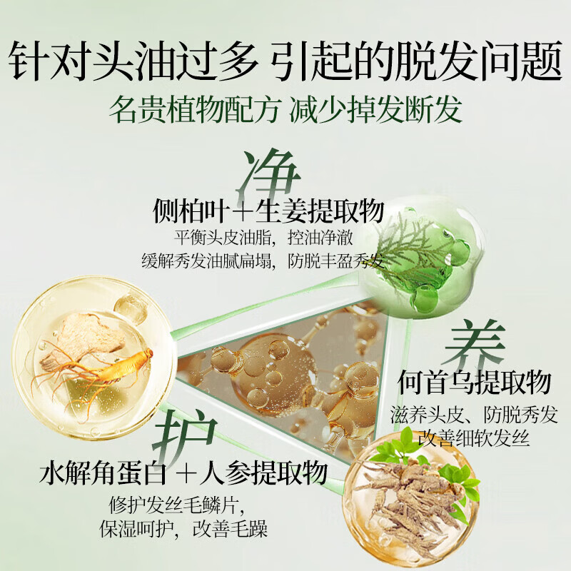 霸王防脱洗发水套装人参熬夜压力大脱发强韧发根洗发露男女士 防脱洗发液500ml+防脱调理发膜180ml