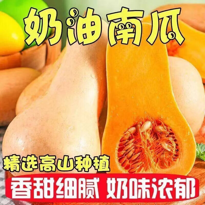 【阿根廷奶油南瓜】陕西秦岭奶油南瓜自带奶香味老少食用新鲜南瓜 5斤 净重4.5-5斤