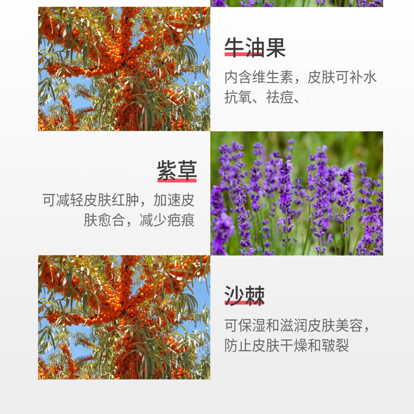 医儿乐(ERLEI)婴儿童橄榄油宝宝润肤按摩油山茶籽油爽身精油宝宝护臀油抚触油 宝宝山茶籽润肤油200ML