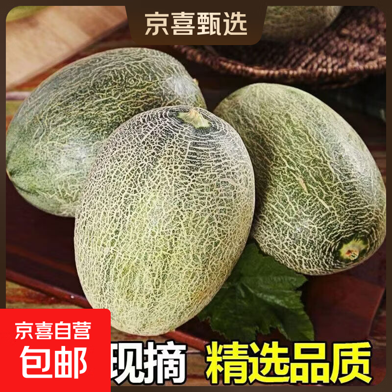 山东时令晓蜜哈密瓜西周蜜新鲜孕妇京东快递果园现摘哈密瓜 哈密瓜净重8-9斤