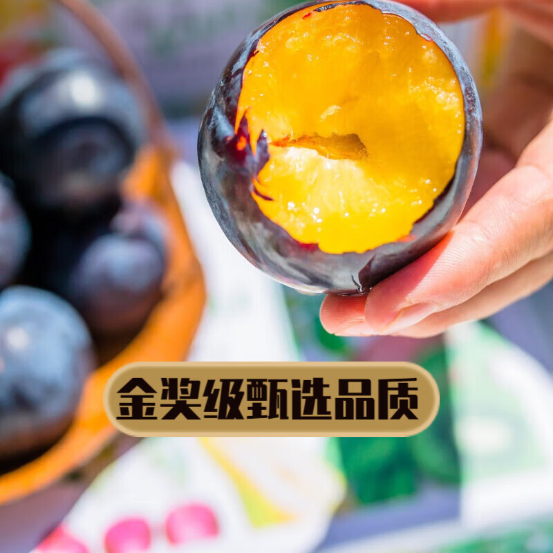 高甜树上熟贵妃蜜李新鲜水果当季李子应季时令 4斤 55-100g 2斤