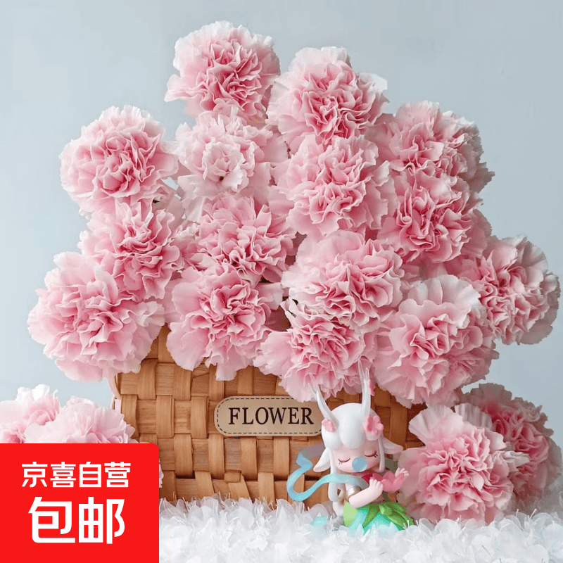 云南康乃馨鲜花基地鲜采直发教师节送老师送长辈康乃馨鲜花礼物 康乃馨随机单色不挑色10枝