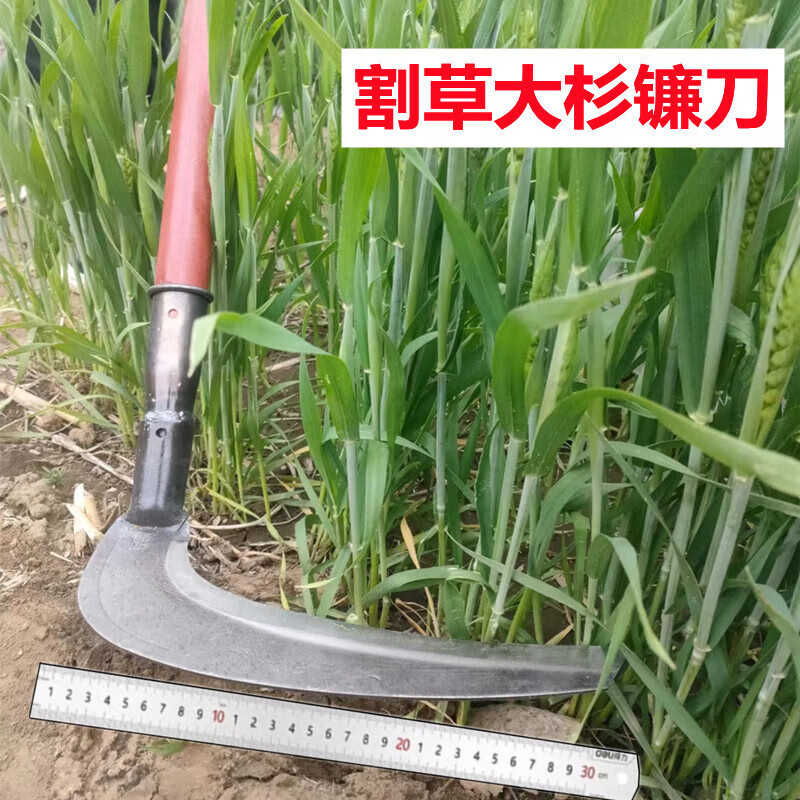 农用镰刀大号割草刀锰钢大镰刀头户外割杂草刀牧草打草割芦苇衫刀 60
