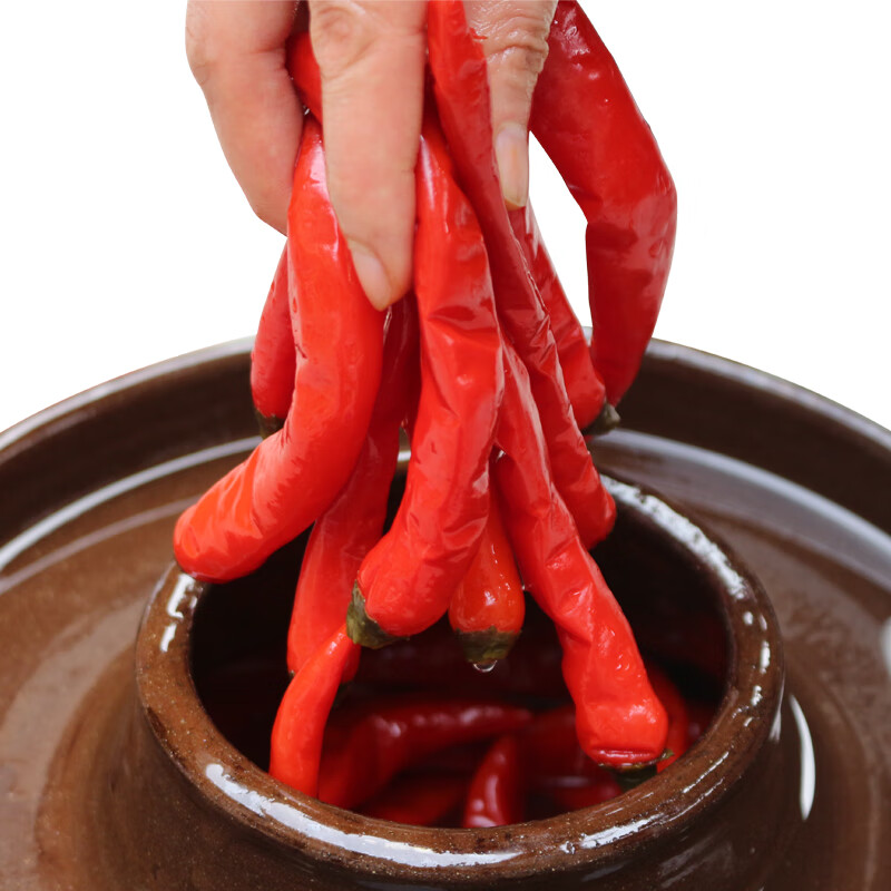 蓉城味道 四川陈泡二荆条辣椒 泡海椒美人椒泡菜 剁椒鱼头调料350g