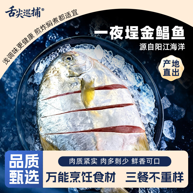 舌尖巡捕一夜埕金鲳鱼咸鱼广东阳江特色特产干货海产品海鲜新鲜腌制淡薄盐 一夜埕金鲳鱼 多人套餐6条装(1800-2100g)
