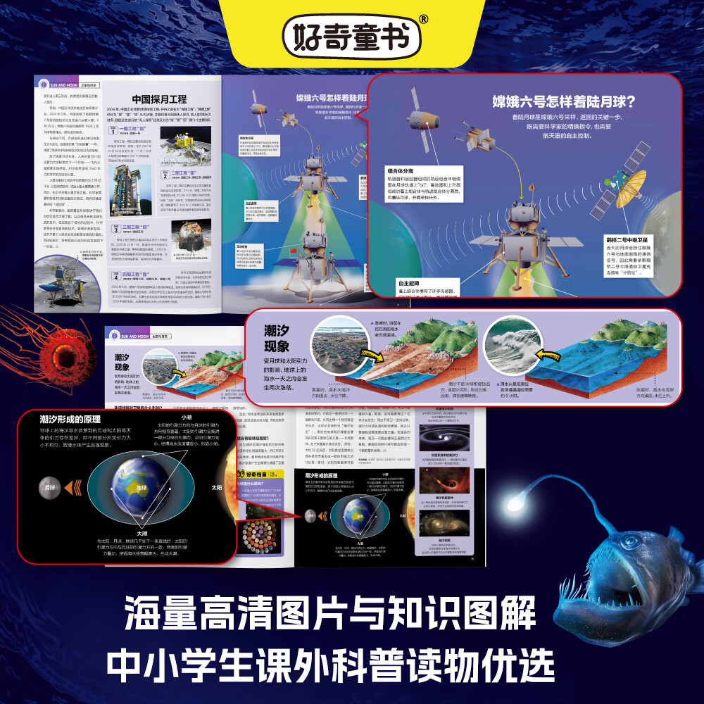 现货包邮 好奇号6周年纪念专辑全4册 海底探秘 世界地理 宇宙探索 动物世界四大主题 6-15岁儿童科普百科小学生少儿通识教育科技人文提升跨学科综合能力拓展课内知识补充杂志铺官方旗舰店正版