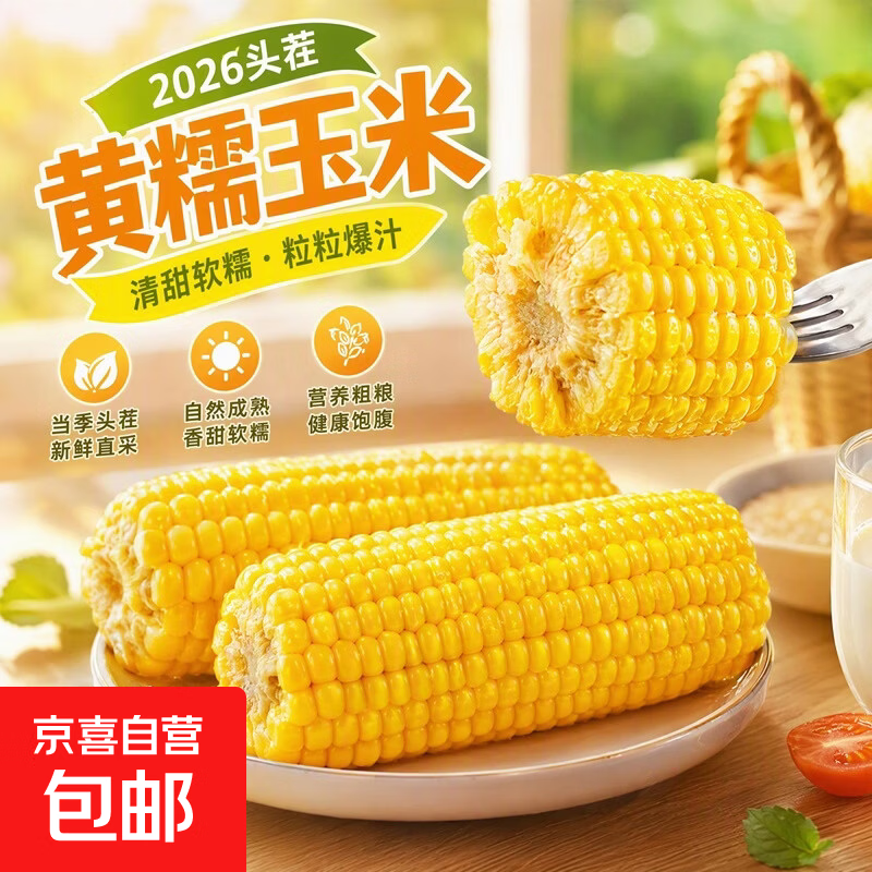 新鲜真空黄糯玉米加热即食大棒东北五常甜糯玉米早餐超市直播间 真空黄糯玉米10根*250g 净重