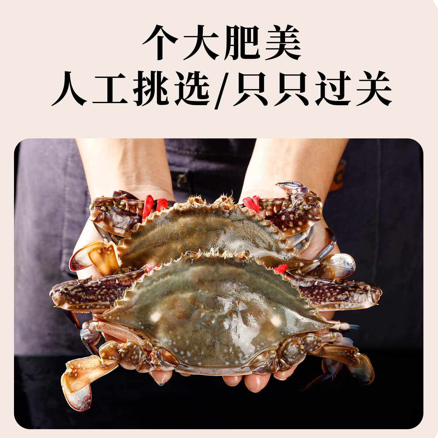 【冷冻】赣榆海鲜新鲜梭子蟹鲜活大螃蟹水产野生飞白蟹 4-6两/只 4-6两/只 5斤