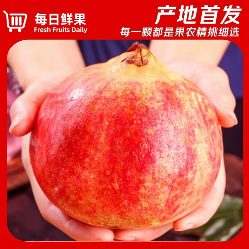 【品质】正宗四川会理突尼斯软籽石榴新鲜直达中秋水果礼品 带箱5斤【大果5-6两】实惠畅销