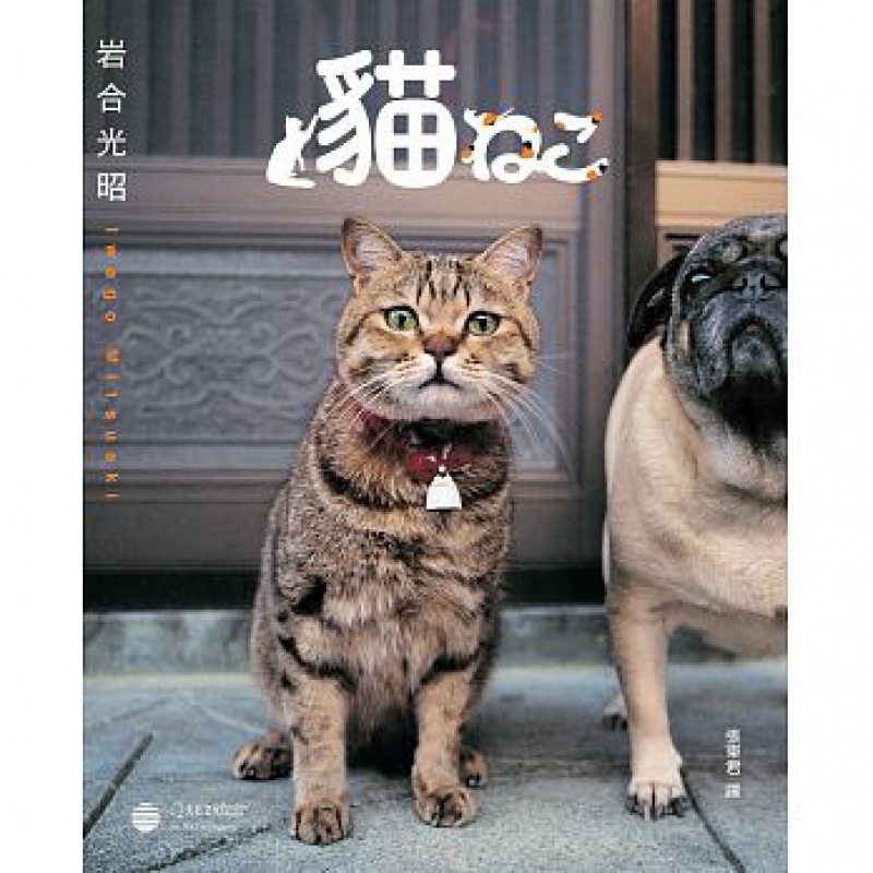 预订台版 岩合光昭 猫岩合光昭宠物猫图鉴猫的喂养方式饲养攻略知识大百科驯养入门教程宠物