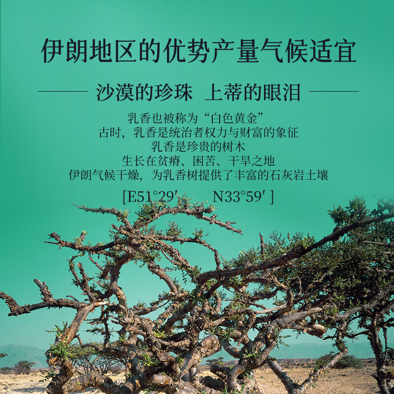 巴莉哲乳香抗皱紧致精华油保湿复方提拉紧致 乳香精油15ml*1