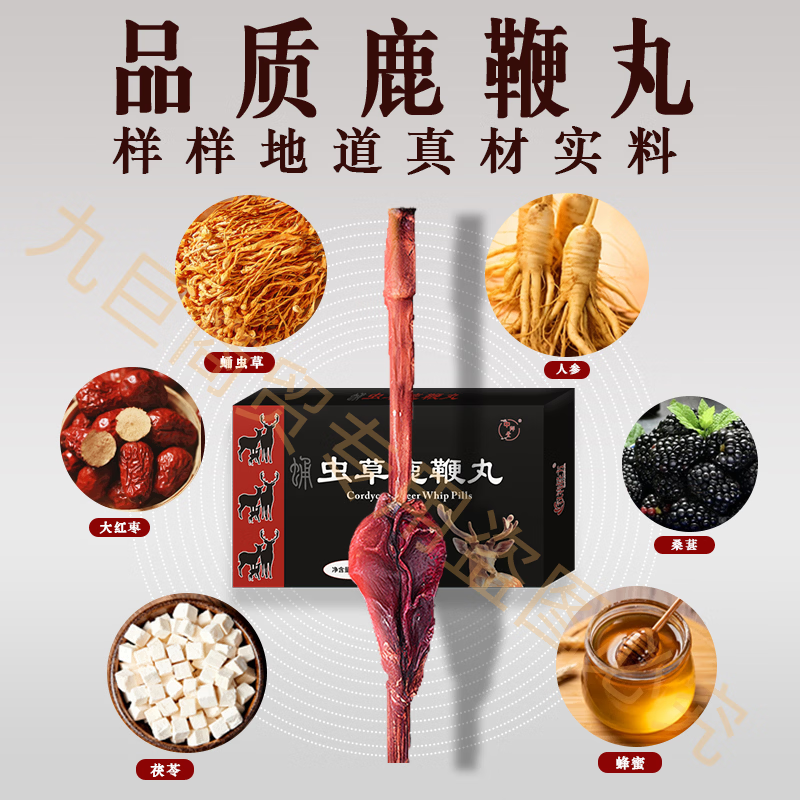 CEL神馬西藏精品虫草九鞭丸中老年房事滋补用品 一小盒[4粒] 4粒*1盒 买三送二 20粒*3盒