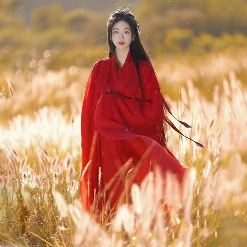 诺鑫祺新款采茶记古风超仙魏晋汉服女成年人直裾大袖衫素色淡雅古装
