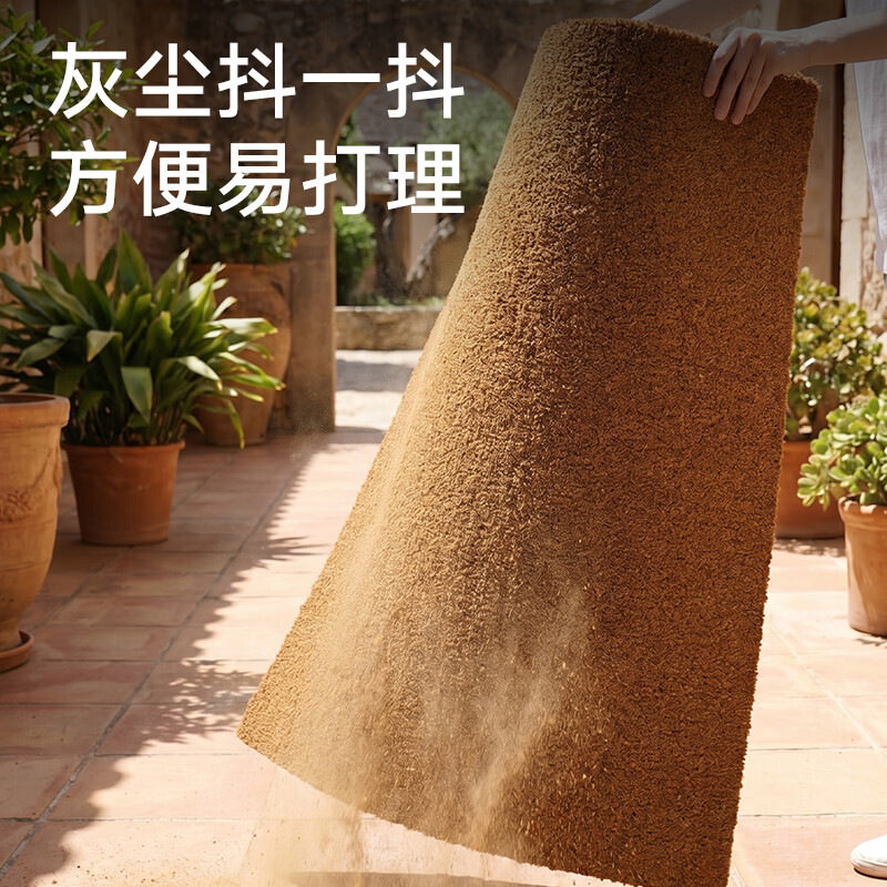 大江高档入户门地垫2026年新款商用地毯门口入户脚垫定制天然椰棕地垫 椰棕-素色 60cm*90cm 【覆盖单开门门框】