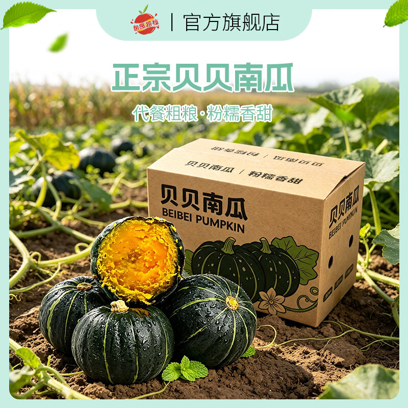自然搭档 正宗陕西贝贝南瓜 粉面香甜小南瓜 新鲜蔬菜香甜软糯产地直发 净重 4.5斤 （3-8个）