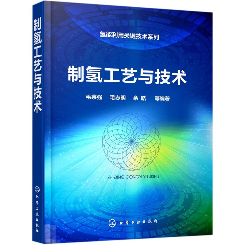 制氢工艺与技术(精)/氢能利用关键技术系列