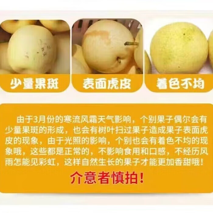 正宗河北皇冠梨产地直发现摘现发脆甜多汁梨子整箱新鲜水果-新 皇冠梨带箱2斤装