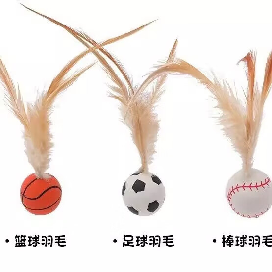 【厂家直发】猫咪逗猫棒磨牙趣味弹力球带羽毛布偶猫最爱自嗨解闷 【弹力款】篮球一个装