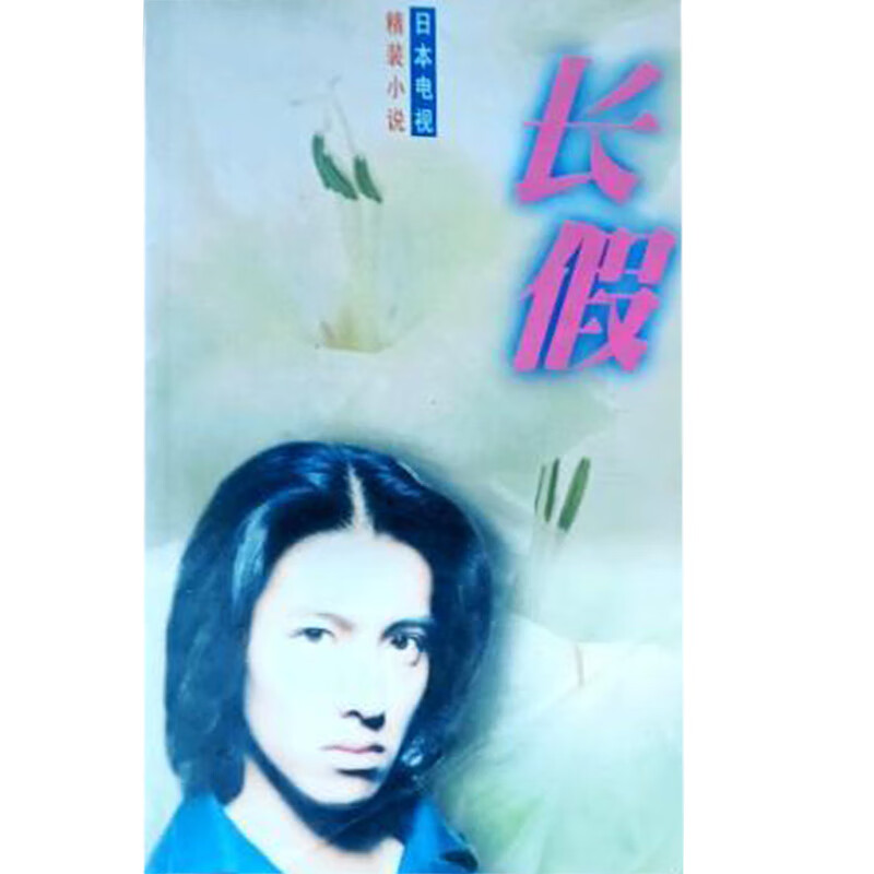 小说日本电视 长假【正版精选】