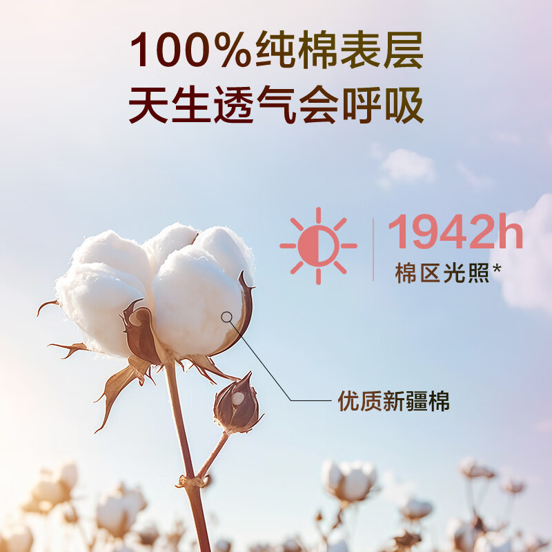 1号会员店医护级卫生巾 240mm10片日用100%纯棉全棉姨妈巾