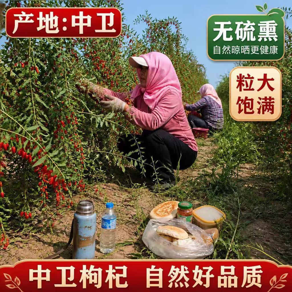 同仁堂胖东来同款特级宁夏红枸杞正宗中宁头茬大颗粒无熏硫新货免洗500g 特级红枸杞500g 250g*2罐