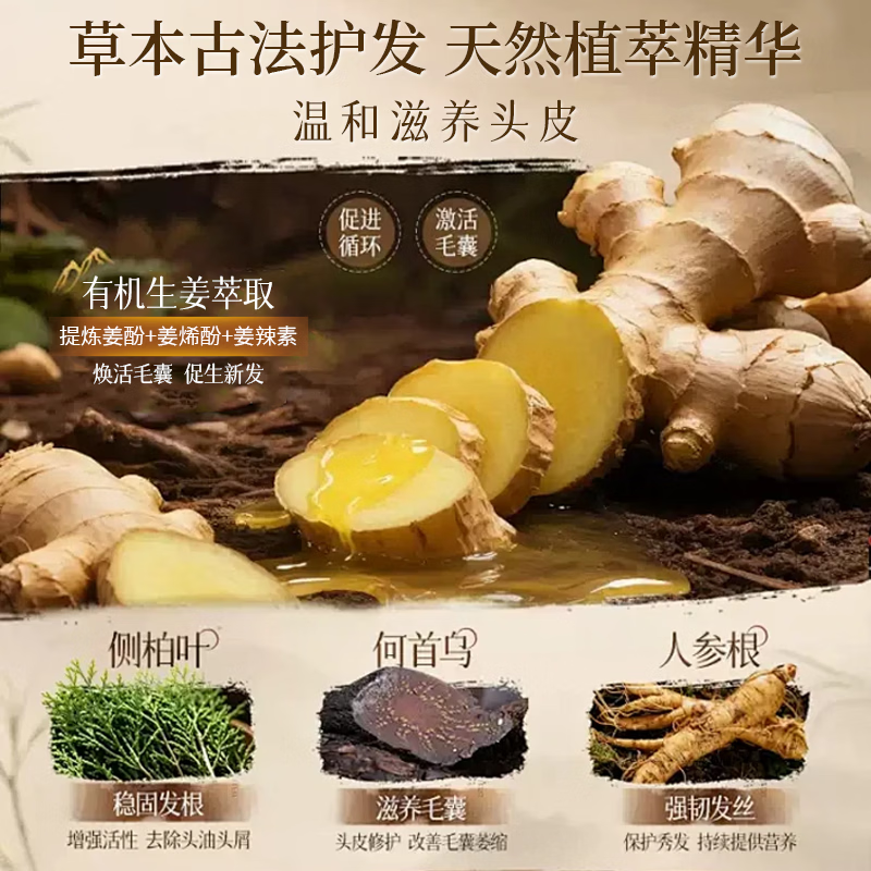 故事树洗发皂生姜乌斯蔓草何首乌侧柏叶洗头皂纯天然植物手工皂控油防断 【推荐】生姜乌斯曼草洗发皂 100g*1盒
