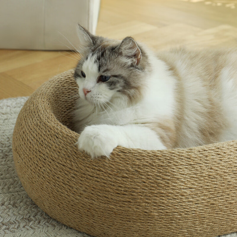 梵都宠舍猫窝猫抓板一体猫抓盆耐抓耐磨不掉屑四季通用猫爪板宠物猫咪磨爪 【3.0深陷剑麻垫】61cm 猫抓盆丨猫抓板猫窝一体