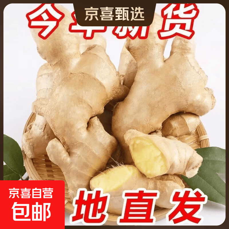 【东东农场专供】风干无泥姜正宗生姜大姜水洗黄姜新鲜月子 山东大姜250g净重250g