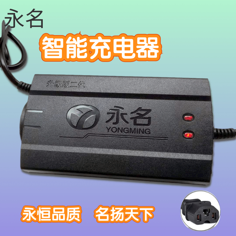 车三轮充电器永名48v20a60v22a72v20a铅酸智能自 智能48v12ah t型通用