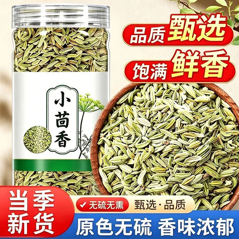 胖东来同款正宗甘肃特级小茴香香味浓郁最新干货无熏硫炖肉炒菜日常泡水 小茴香 200g*4罐 不满意包退