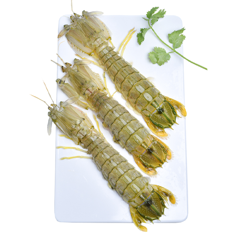 闪送】速鲜 鲜活泰国富贵虾 500g/2-3只 濑尿虾特大皮皮虾虾姑虾爬子