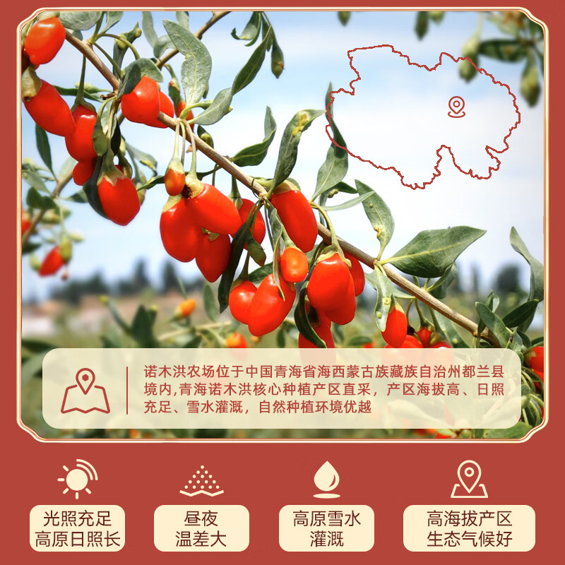 伊禧堂特优级红枸杞青海枸杞250g头茬无熏硫免洗送礼送长辈 特优级红枸杞500g 250g*2罐