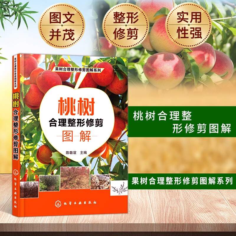 果树合理整形修剪图解系列--桃树合理整形修剪图解