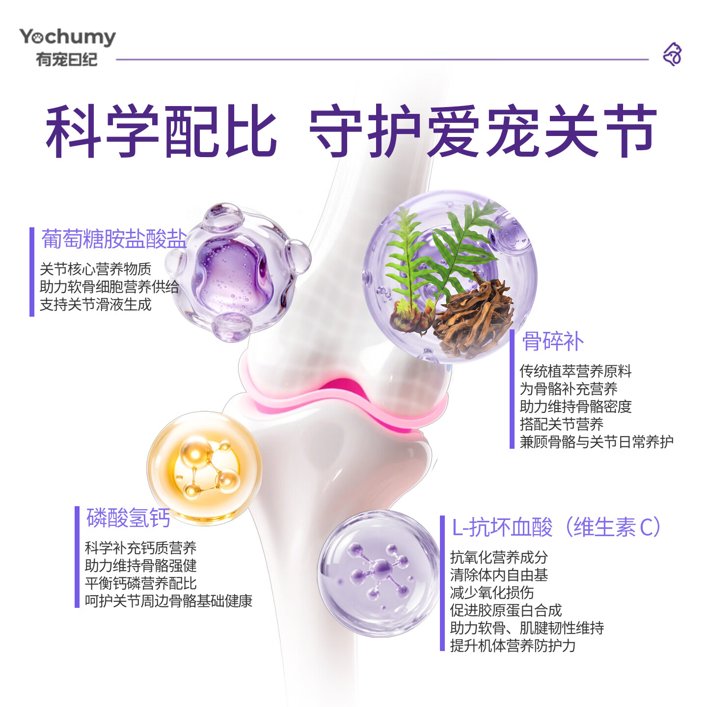 有宠日纪姜黄鲨鱼软骨素软颗粒 呵护猫咪狗狗关节 滋养软管 宠物营养补充 正装（150g 1.2g*125粒）