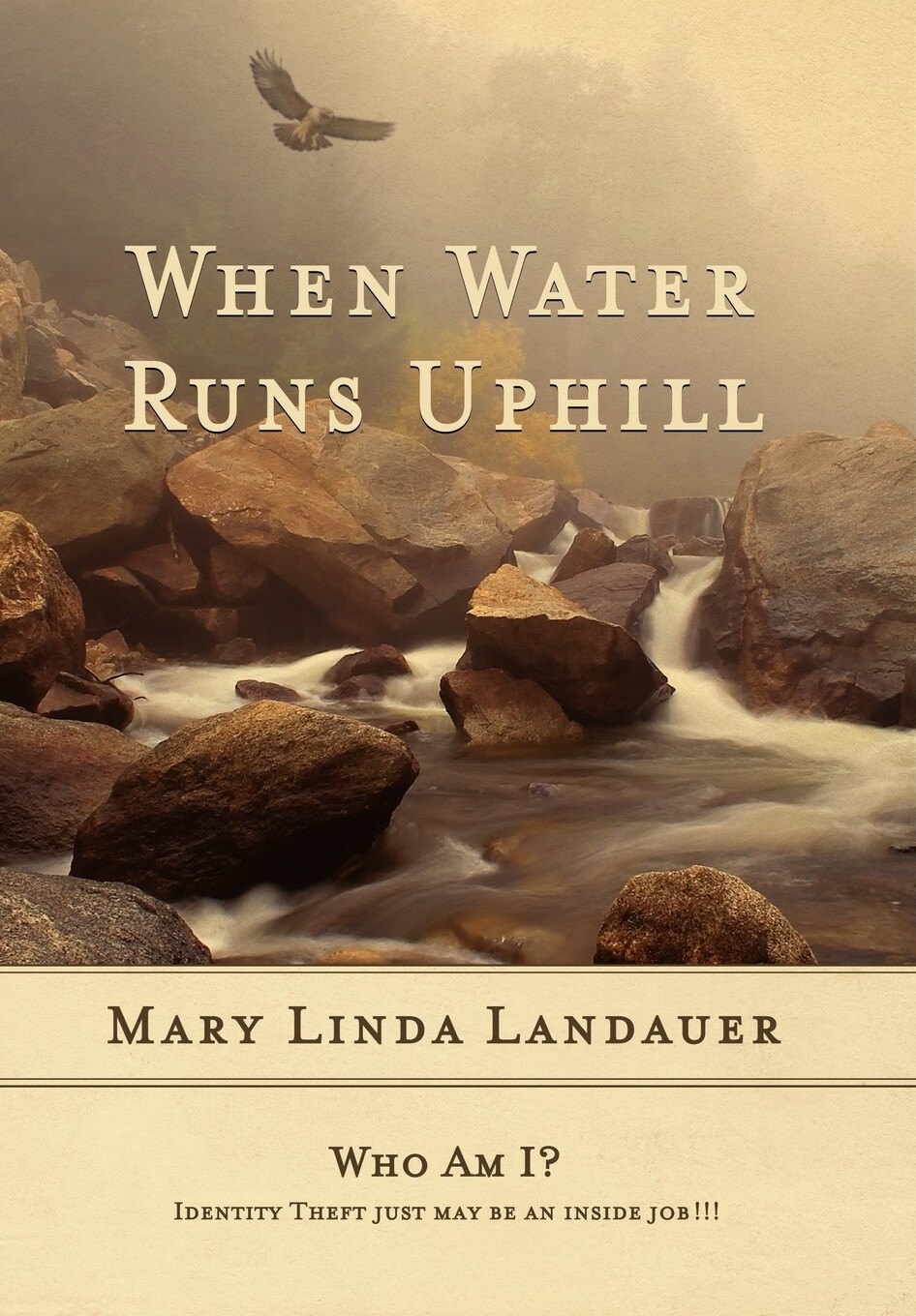 预售 按需印刷 when water runs uphill