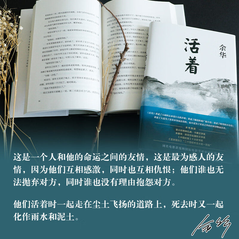 余华经典作品集全6册 文城+活着+许三观卖血记+兄弟+细雨+第七天 余华经典作品集全6册
