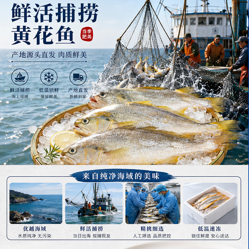 饺饺自喜 黄花鱼鲅鱼三文鱼水饺生鲜健康速食面点馄饨儿童早餐速冻 三文鱼馄饨160g(16只)*3盒