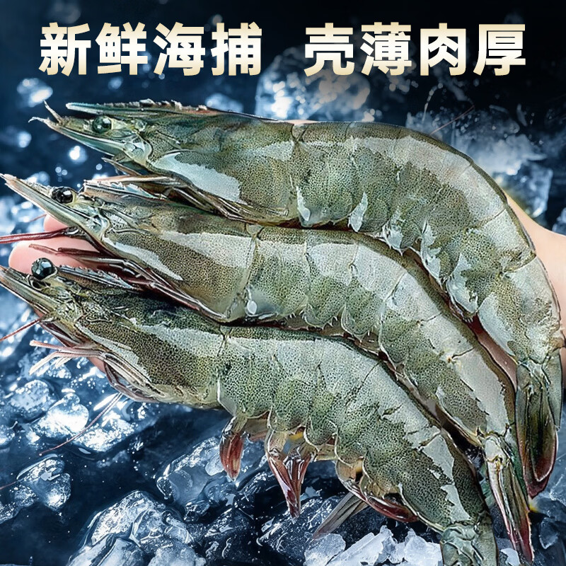 九英里青岛大虾基围虾白虾鲜活青虾海虾对虾生鲜 虾类 海鲜  特大级白虾 15-18cm 3斤(净重) 