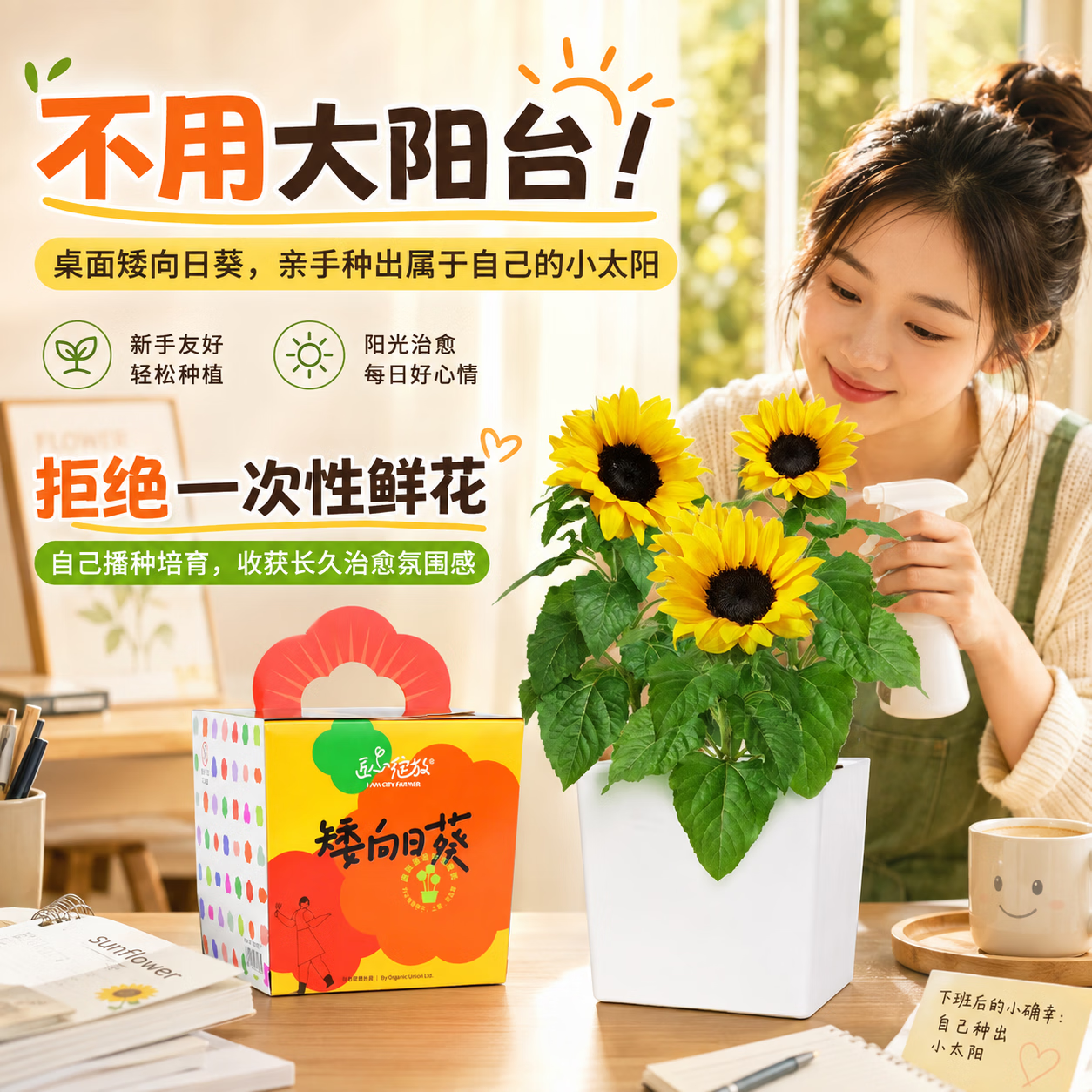 IAM City Farmer矮向日葵DIY儿童种植小盆栽种子植物盆栽幼儿园绿植趣味观察 【矮生向日葵】套装 含盆含土含种子