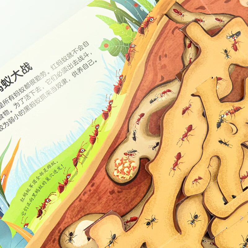 STEAM探索法布尔昆虫记互动立体书京东套装3册赠12节音频课(优枢学堂出品)详情图