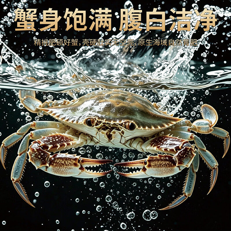 大海船说【保鲜不保活】大海船说舟山梭子蟹海捕鲜活白蟹 冰鲜鲜活 冰鲜鲜活 梭子蟹 3-5两/只【5斤】