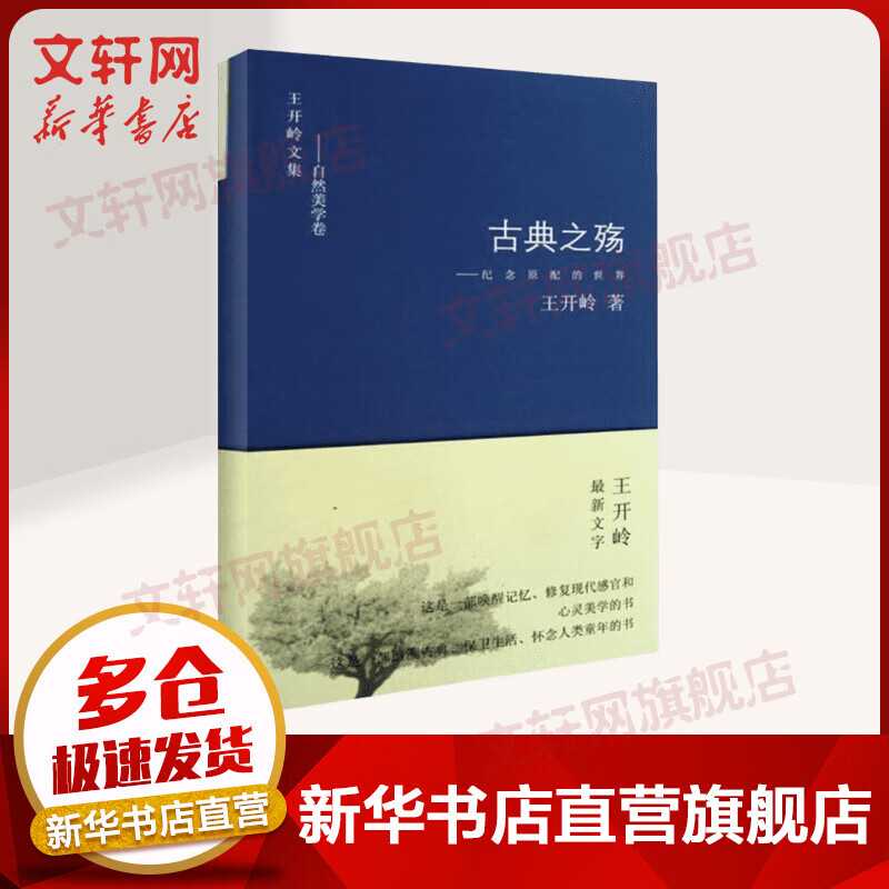 古典之殇 纪念原配的世界 王开岭散文作品集