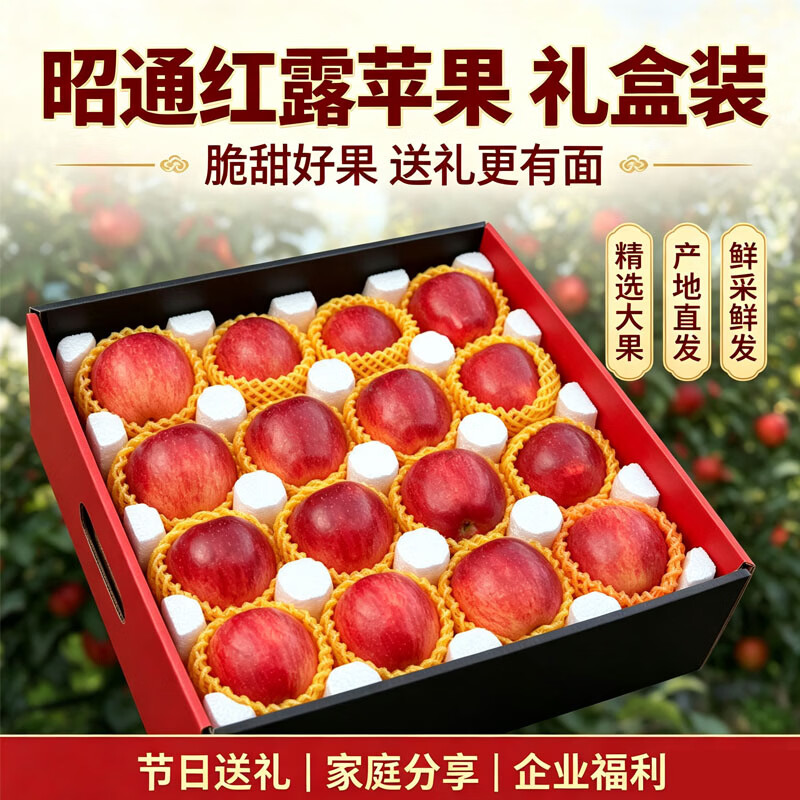 中秋送礼红露苹果礼盒新鲜红露云南昭通丑苹果新鲜采摘冰糖心水果 红露苹果4.5斤（箱未满量已足 论斤不论个） 80g+（1斤小果 不推荐）泡沫托+彩箱+网套发货