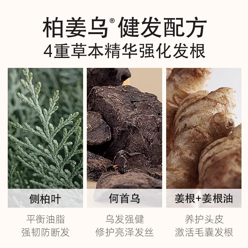 海瑟薇 HASERVEY生姜洗发水两件套控油去屑强韧柔顺氨基酸套装蓬松男女士洗头膏 生姜健发护发素460ml*1瓶