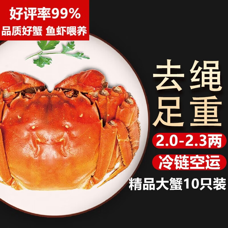 【活蟹】湖鲜阳澄 大闸蟹 去绳足重 2.0-2.3两 10只 鲜活六月黄现货超大螃蟹生鲜礼盒装