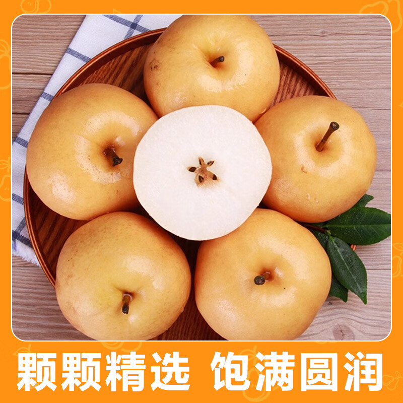 雪芬宁陵秋月梨脆甜多汁产地直发 净重4.5斤【单果300g+】 净重4.5斤(单果300g+)