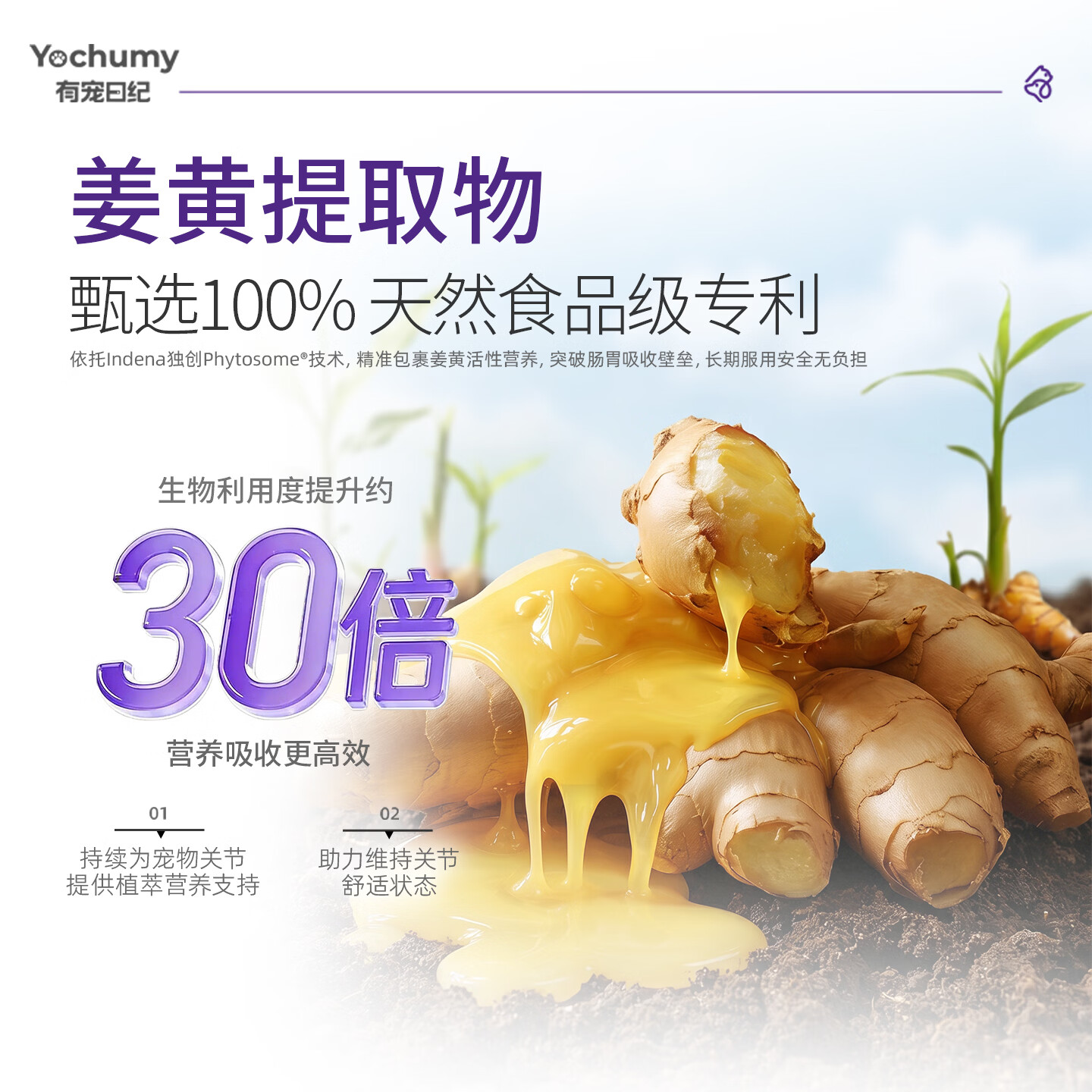 有宠日纪姜黄鲨鱼软骨素软颗粒 呵护猫咪狗狗关节 滋养软管 宠物营养补充 正装（150g 1.2g*125粒）