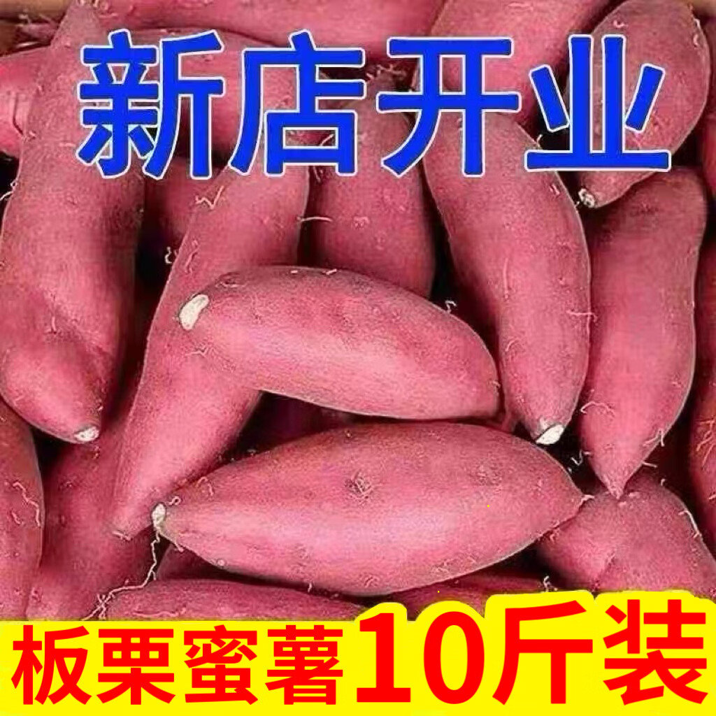 树奢板栗红薯10斤小香薯沙地蜜薯农家西瓜红地瓜山芋蔬菜番薯洋芋鲜挖 红薯  带箱9-10斤装 精选果